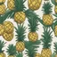 Placeholder: Concept pineapple