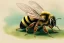 Placeholder: bee watercolour, gustave doré art, trending on artstation