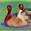 Placeholder: dead muscovy duck in style of signac