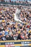 Placeholder: AFL Seagull man