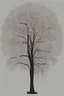 Placeholder: Logo of a pretty willow tree outside a square window with an arch, monochromatic