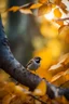 Placeholder: a sparrow sitting on top of a tree branch surrounded by golden autumn leaves, crepuscular , a snake crawling behind the bird ,lighting, unsplash photography, BOKEH shot style of time-lapse photography, fujifilm provia 400x, 100mm lens, luminous shadows, renaissance-inspired , home and garden, wildlife nature photography, HDRI.