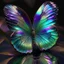 Placeholder: iridescent butterfly