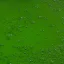 Placeholder: photorealistic duckweed from beneath