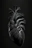 Placeholder: Gray human heart, black background