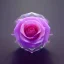 Placeholder: transparent multicolor crystal rose realistic, unreal engine 5