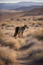 Placeholder: The scent of sagebrush mingled with the crisp air, evoking a sense of nostalgia for a time when the West was still wild and untamed. In the distance, the haunting call of a lone coyote echoed through the canyons, a reminder that danger lurked amidst the beauty of the Western tapestry. As Scarlett gazed upon the scene, she felt a surge of gratitude for being a part of this vast and ever-changing landscape. It was in moments like these, where the lake reflected the dreams and struggles of those wh