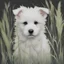 Placeholder: Spirit of the white furry puppies swamp