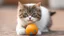 Placeholder: funny cat with ball