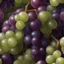 Placeholder: realistic! photorealistic! a bunch of grapes with faces on them