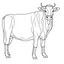 Placeholder: cow, animal, full view, realistic face, coloring page, only draw lines, coloring book, clean line art, –no sketch, color, –ar 3:4, white background, minimalistic black lines, minimal black color, low level black colors, coloring page, avoid thick black colors, thin black line art, avoid colors, perfect shape, perfect clear lines,