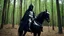 Placeholder: warrior in armor covered by black robe and hood mounted on a horse in the forest