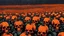 Placeholder: a field of 1000s of cartoonish, anatomically correct, skulls, vivid RANDOM BRIGHT neon colors, dark comedy, well lit, high detail, photorealistic, horrorcore, fun, scary, none featured, each a different color or hue,