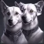 Placeholder: The two headed hound