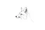 Placeholder: faint sketch of a fox’s head