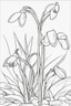 Placeholder: flowers coloring page for kids, snowdrop, cartoon style, thick outline, low details, no shading, no color