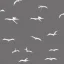 Placeholder:  pterosaurs flying in the sky