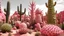 Placeholder: A pink desert with spiky cacti designed in ancient Egyptian architectures and sculptures painted by Henri Robert-Bresil