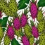 Placeholder: A background with colors of dragon fruit and its leaves