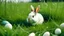 Placeholder: a rabbit in a grassy meadow with white eggs laying in the green grass Generative AI