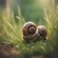 Placeholder: wrapped mummy snail in long grass ,bokeh like f/0.8, tilt-shift lens 8k,*-