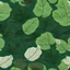 Placeholder: fig leaf, flat fabric, green