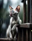 Placeholder: Baby blue eyed Oriental shorthair Siamese cat perches precariously on the slick, glistening rainy fence, each individual raindrop pitter-pattering around it like a delicate symphony. Its fur, glistens under the sparse light that filters through the thick, grey clouds, droplets clinging to its soft coat like tiny jewels. The animal tilts its head upward, its big, expressive amber eyes wide with curiosity, seemingly mesmerized by an unseen spectacle just beyond the frame.