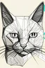 Placeholder: sadece çizgilerden oluşan bir kedi resmi. resim defteri için