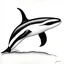 Placeholder: Orca drawing