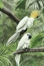 Placeholder: Rainforest, cockatoo flying, frontal, model style, hyper realistic, accurate, delicate, extremely detailed, Graphic novel style, wide-angle, front view, open aperture, superfine pencil