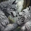 Placeholder: the anthropomorphic gray hairy body wolfman name Teo, holds between his paws the anthropomorphic pale hairy body wolfwoman's face , they look at each other lovingly, blur background, high detalied, realistic, sci-fi and fantasy mood