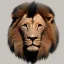 Placeholder: Mücevher aslan