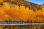 Placeholder: Autumn scene at northeast china