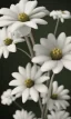 Placeholder: White flowers,RTX, TXXA, SSAO, High quality,hyperrealistic, cinematic, Super detailed, Anti-Aliasing, HDR,4k