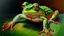 Placeholder: oil painting frog