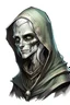 Placeholder: Dead pale she-elf, with skinny face, terryfying Dark eyes, and scales-like skin on her neck, hooded