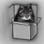 Placeholder: cat in box drawing