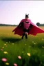 Placeholder: batman adult wearing a bright pink tutu, running away from wild boars. in a beautiful field of flowers, colorful, perfect lighting, leica summicron 35mm f2.0, kodak portra 400, film grain