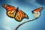 Placeholder: beautiful monarch butterfly perched on a branch in the dazzling sunlight, multicolorful sky, shining, realistic, intricate detail, anatomical, uhd 8k, by huang guangjian, trending on artstation