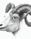 Placeholder: head of a goat drawn in pencil