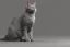 Placeholder: gray cat standing on legs and pointing somewhere with hand