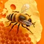 Placeholder: a bee with 6 legs, scattered parchment, honeycomb, orange background