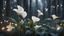 Placeholder: white calla lily in pastel colored rose forest, trees, flowers, fairy lights, night, 8k, high quality, trending art, trending on artstation, sharp focus, studio photo, intricate details, highly detailed, by greg rutkowski