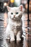 Placeholder: little cat, white baby cat, sitting on floor, street, raining, sad cat, tears cat, rain storm, raining hard