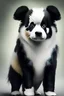 Placeholder: animal mashup panda dog