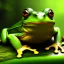 Placeholder: Tropical rain forest, close up of a green frog, background blurry, realistic, unreal engine, artstation, 3D