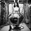 Placeholder: Black and white, retrofuturism, and sci-fi photograph of a woman in_undies with sleek, dark hair, wearing a form-fitting, high-tech harness with mechanical components and cables. She is seated in a futuristic chair with complex machinery and wires connected to it. The setting appears to be a laboratory or control room, evoking a mid-20th-century vision of the future. High-detail, vintage aesthetic