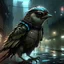 Placeholder: cyberpunk male sparrow cyborg in a rainy city