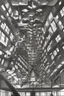 Placeholder: Bouncing around crazily in a surreal hall of mirrors; M. C. Escher