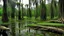 Placeholder: A hundred million years ago in a swamp park